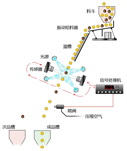 色選機(jī)工作原理